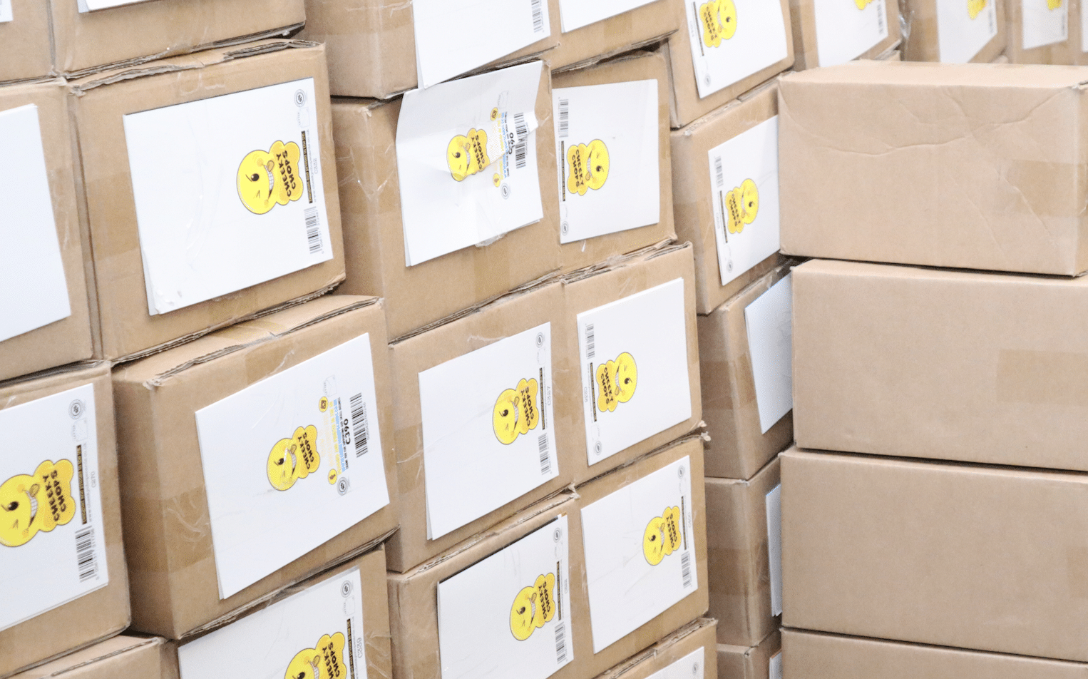 Self storage Newbury UK. Image shows brown boxes with white labels filled with business stock stacked up in a storge unit.